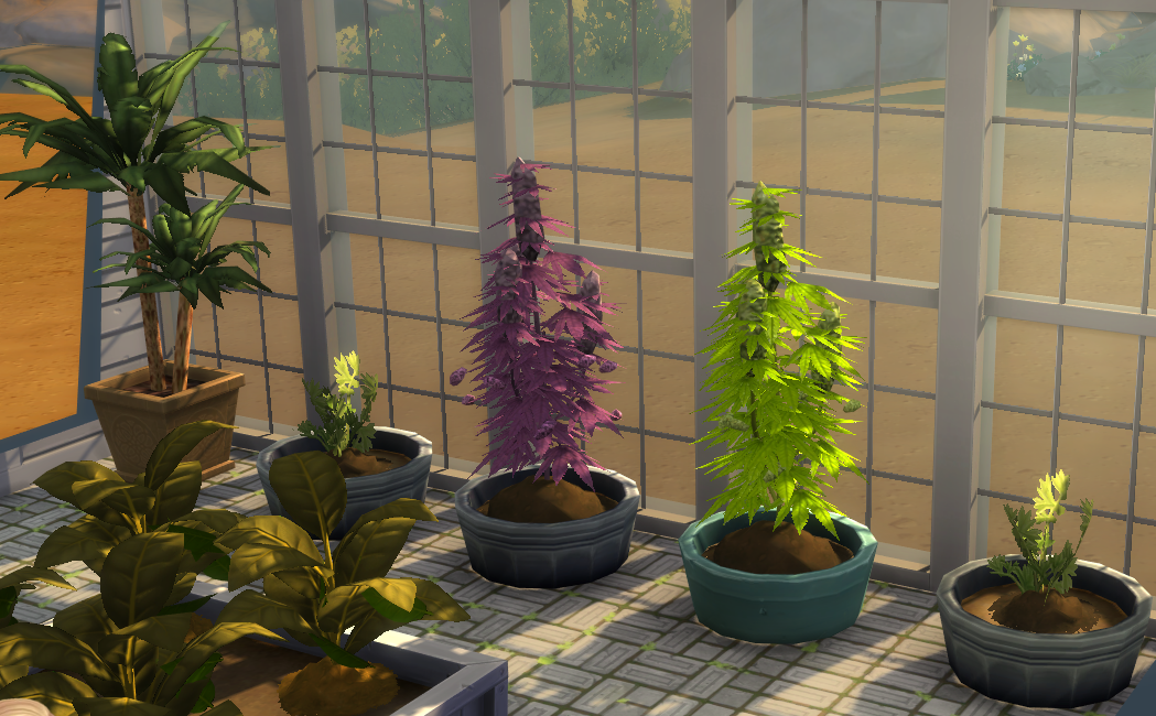 Sims 4 Basemental Drugs Mod: Purchase, Production, Settings, and Buffs